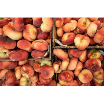 Инжирный персик, его особенности и лучшие сорта